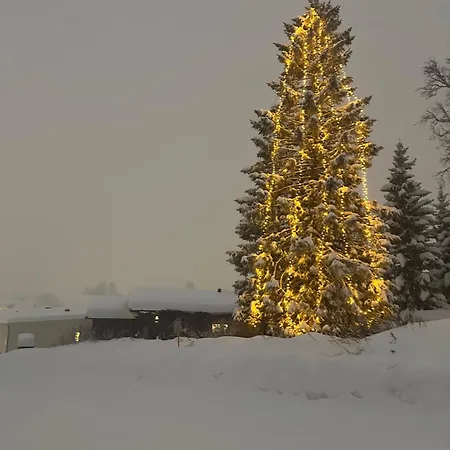 アパート Koselig Byleilighet Sor I Sentrum Av Tromso.